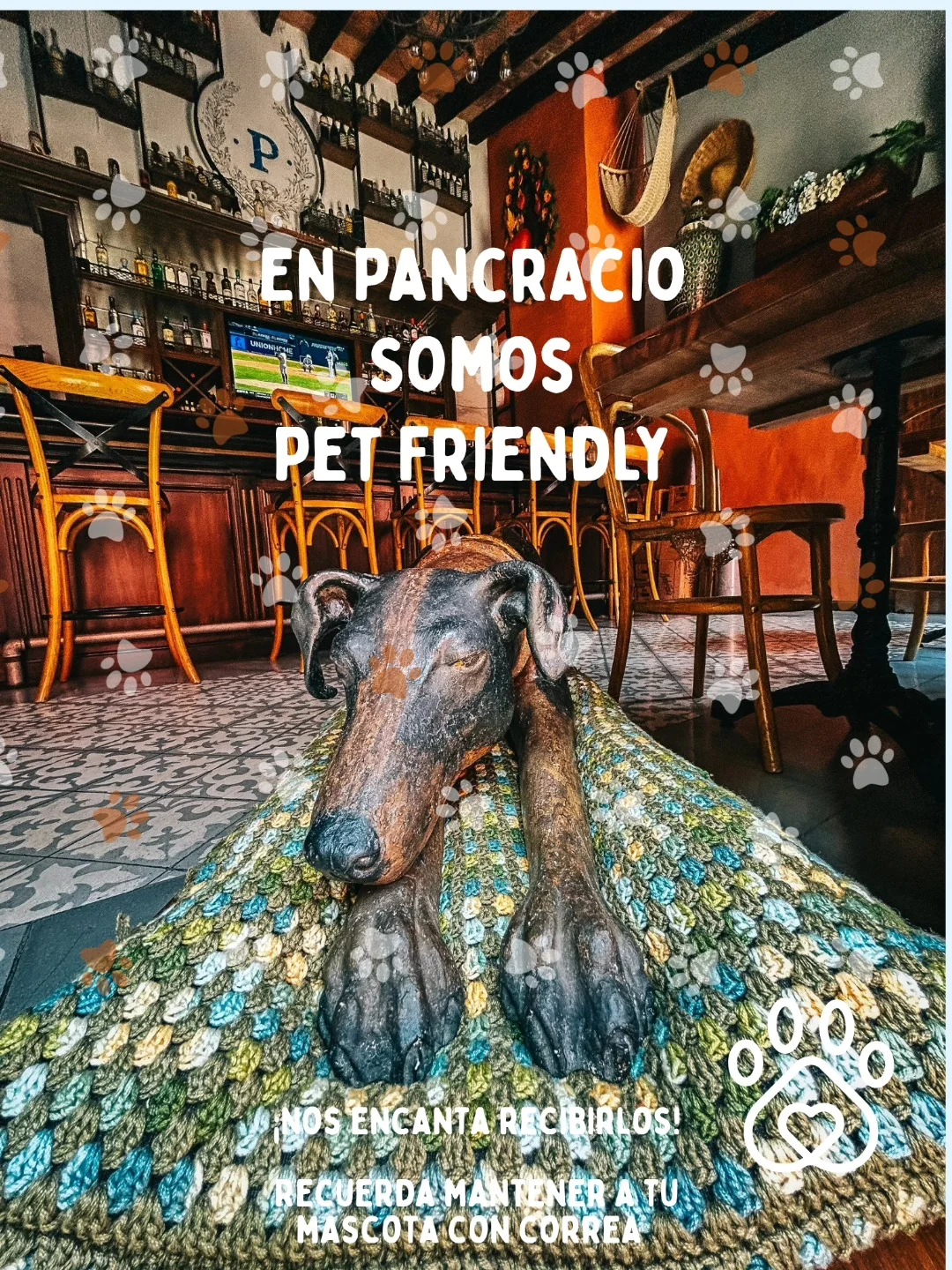 Pancracio es pet friendly